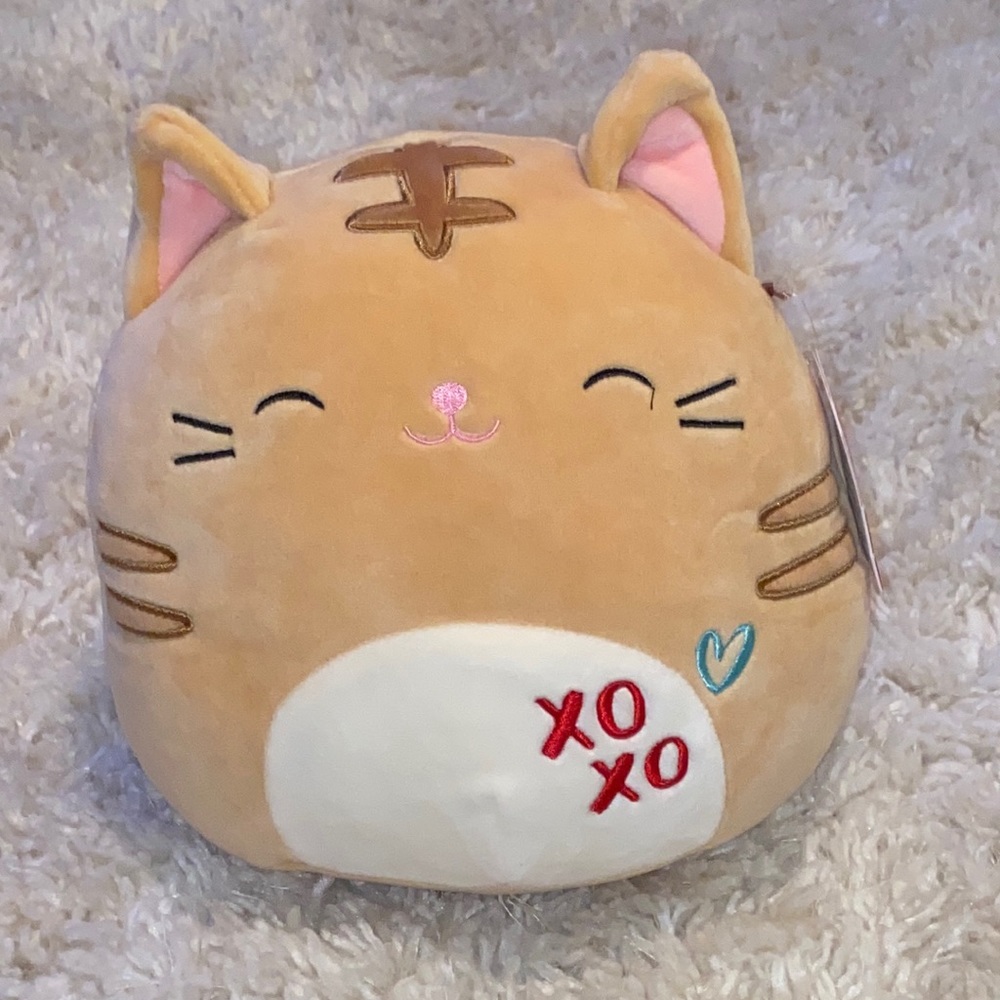 Squishmallow Nathan the Tabby cat Valentine in 8” with tags! XOXO & heart! NWT!